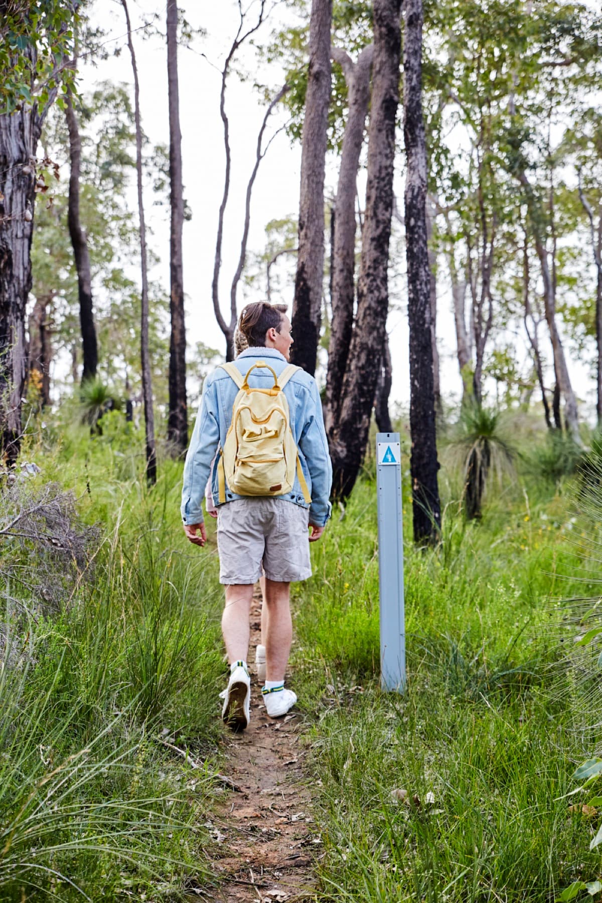 Walking the Wildflower Ridge trail