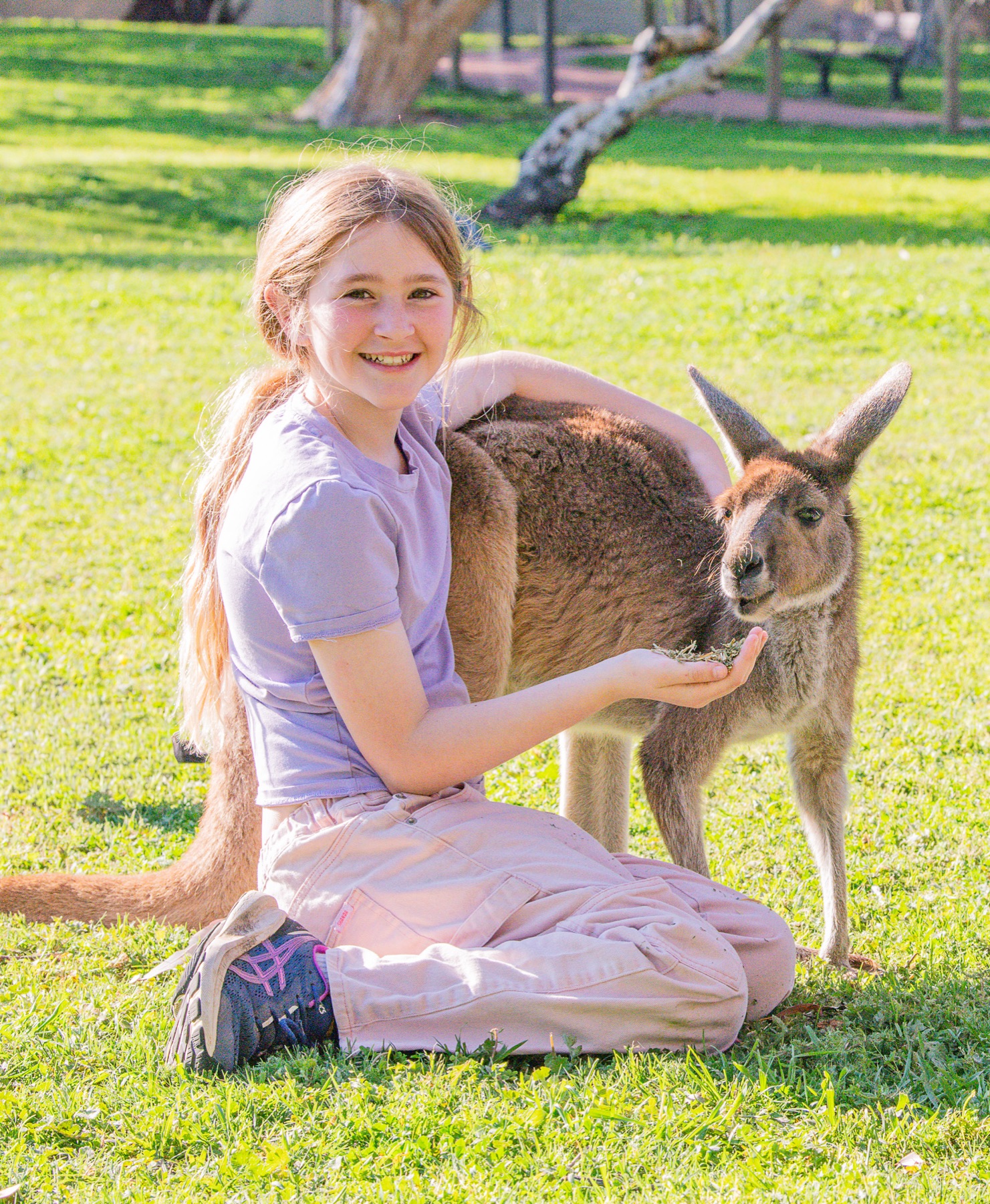 Meeting a kangaroo at Bunbury Wildlife Park