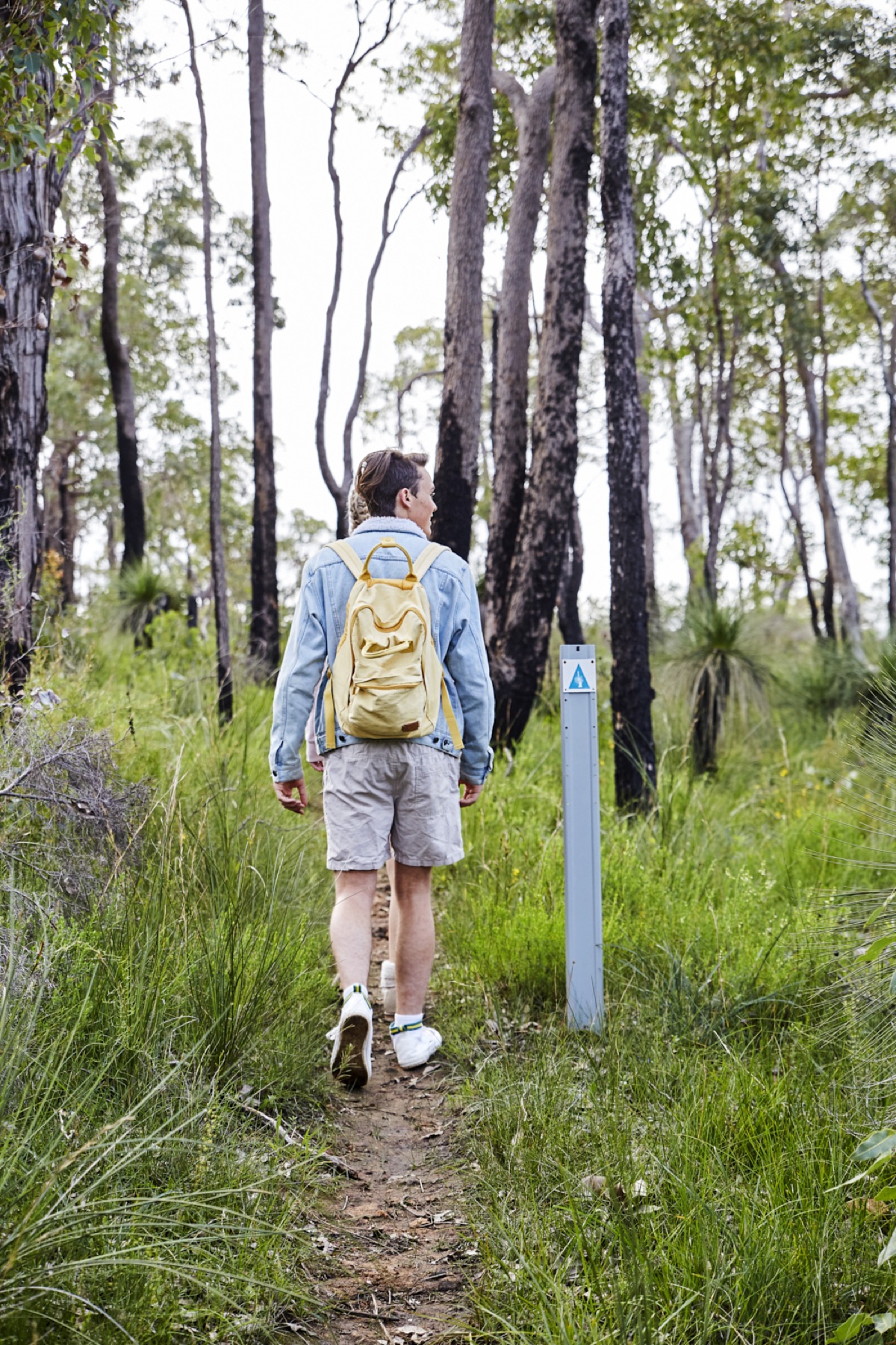 Walking the Wildflower Ridge trail, Harvey